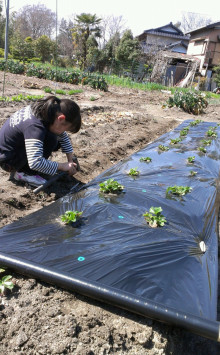 $今利建設の自然派子育てと家づくり