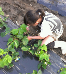 $今利建設の自然派子育てと家づくり