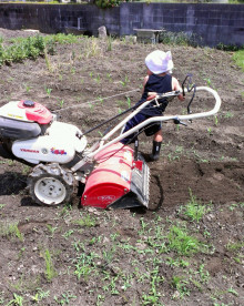 $今利建設の自然派子育てと家づくり